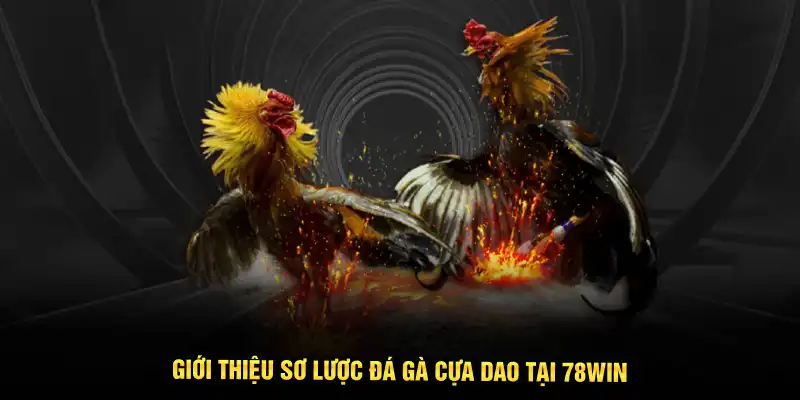 Giới thiệu sơ lược Đá gà cựa dao tại 78WIN